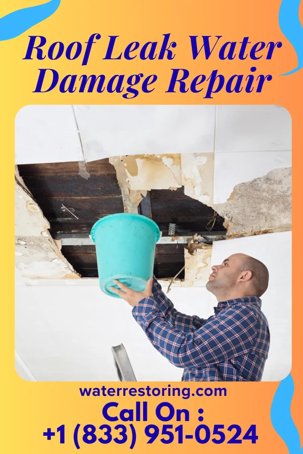 Roof Leak Water Damage Repair in Limestone Creek, FL